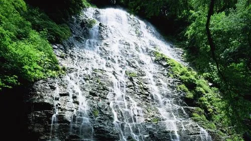 电子独特高性能